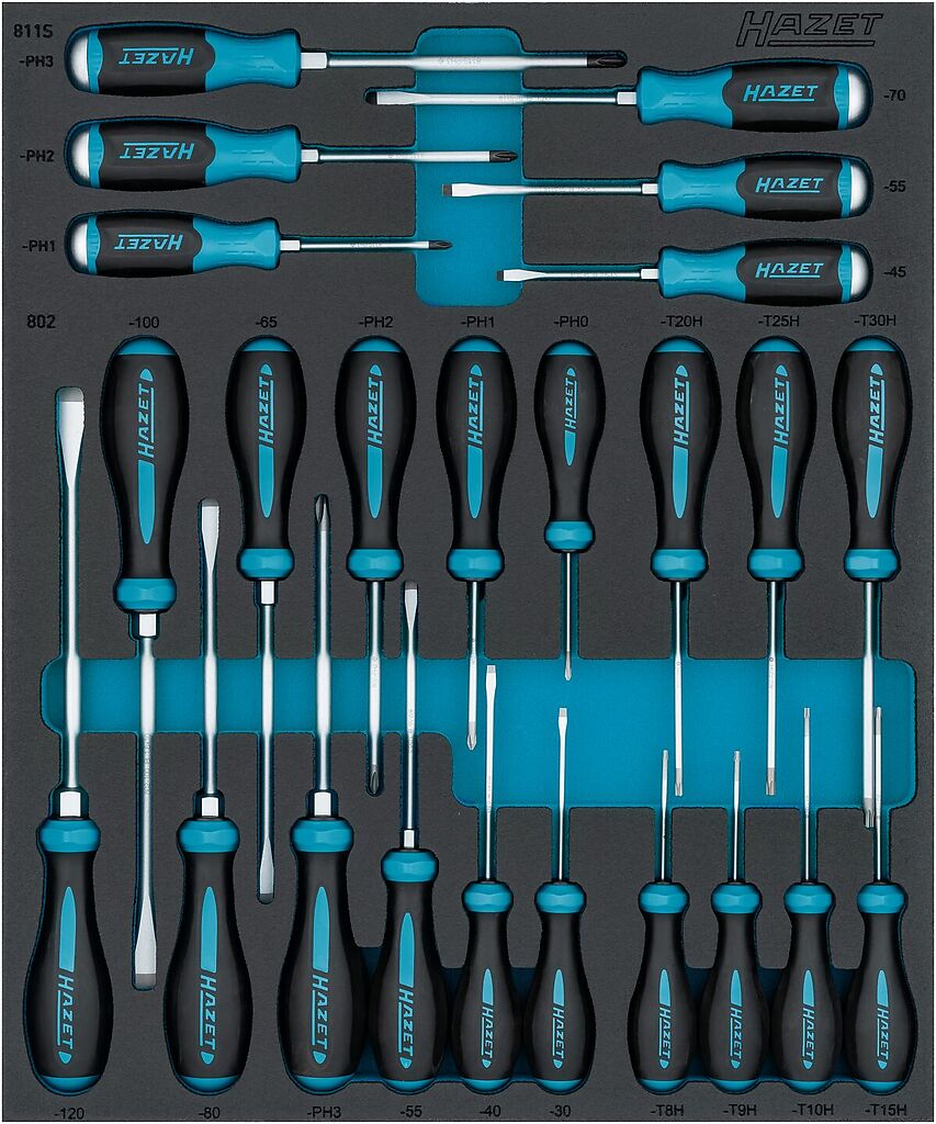 Screwdriver set (163D-7/24N, HAZET)