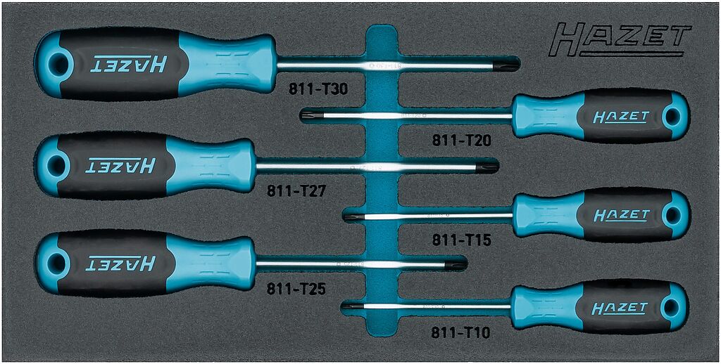 TORX screwdriver set (163-266/6N, HAZET)