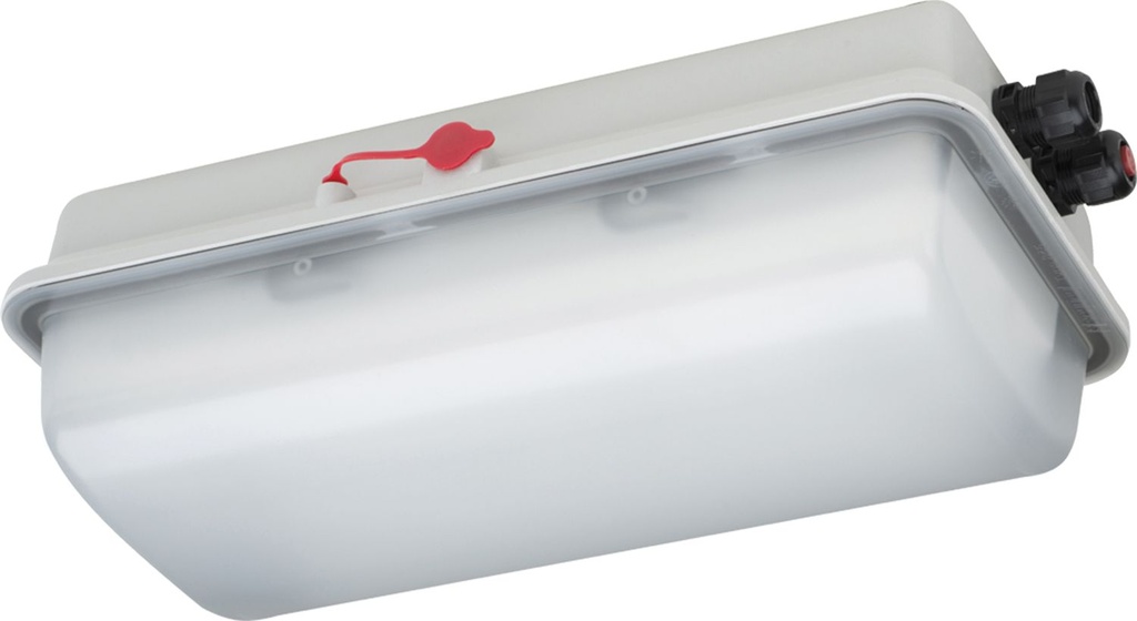 LED diffuser luminaire in ex-proof incl. switch, CEMO (11580)