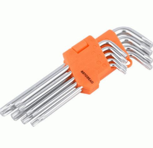 [39155] Lenktų TORX komplektas (9vnt)