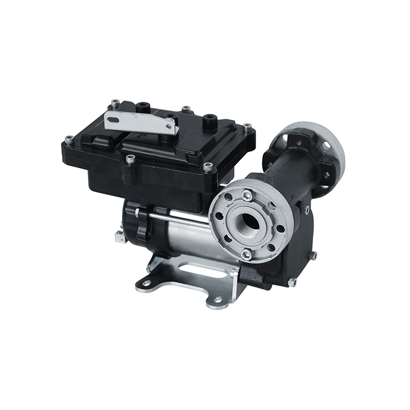 Rotary Pump 12 V DC for Gasoline Transfer, Self-Priming, complying with ATEX 2014/34/EU (6931, FLEXBIMEC)