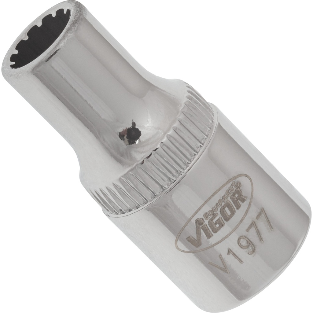 Galvutė su universaliu profiliu 1/4 col. ∙ dydis 5 mm (V1977, VIGOR)