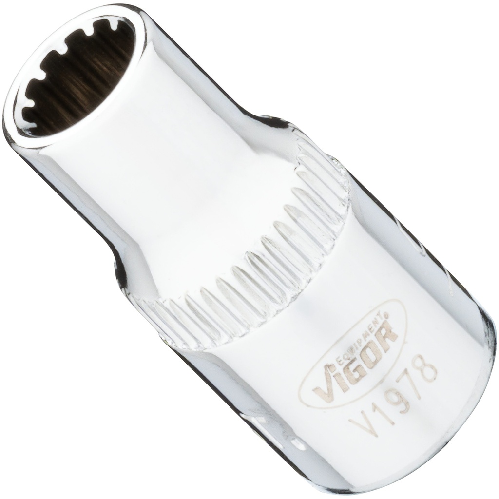 Multi-purpose profile socket 1/4 in. ∙ size 5.5 mm (V1978, VIGOR)