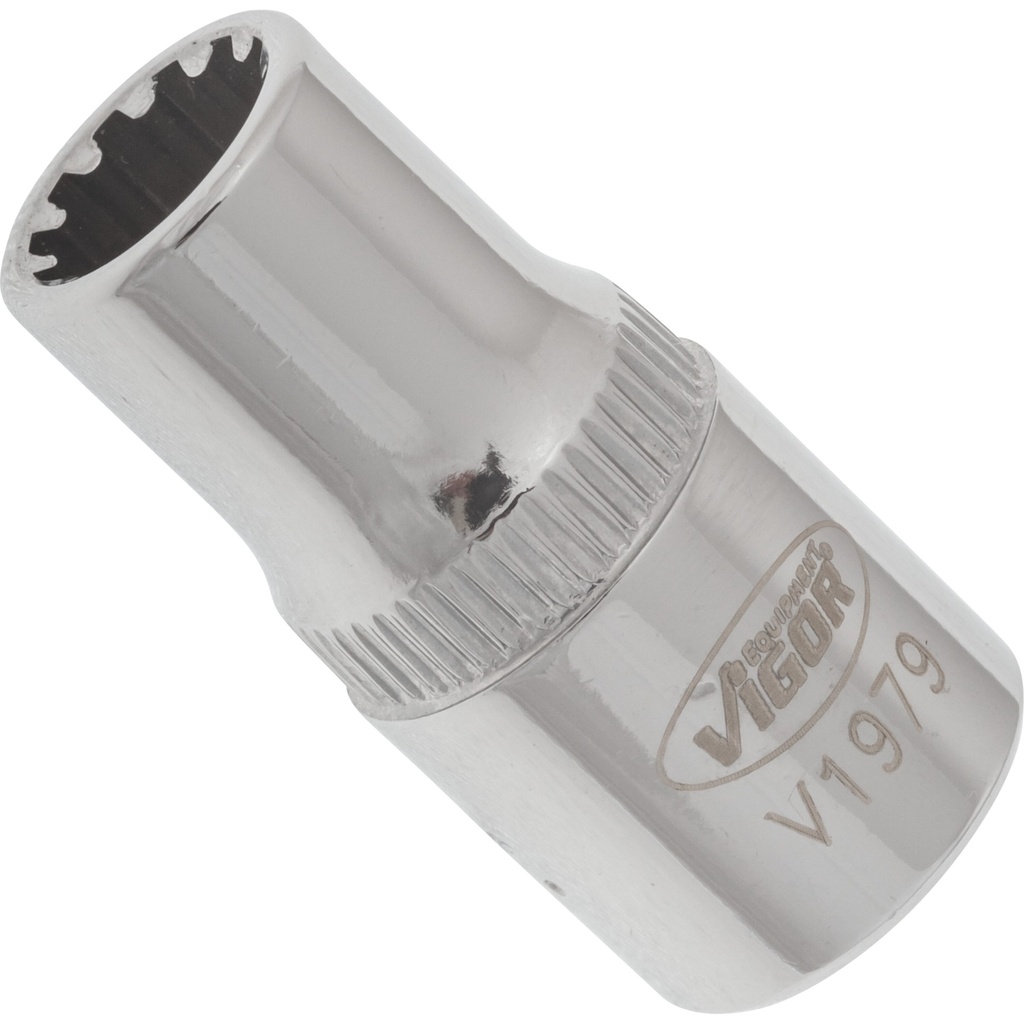 Multi-purpose profile socket 1/4 in. ∙ size 6 mm (V1979, VIGOR)