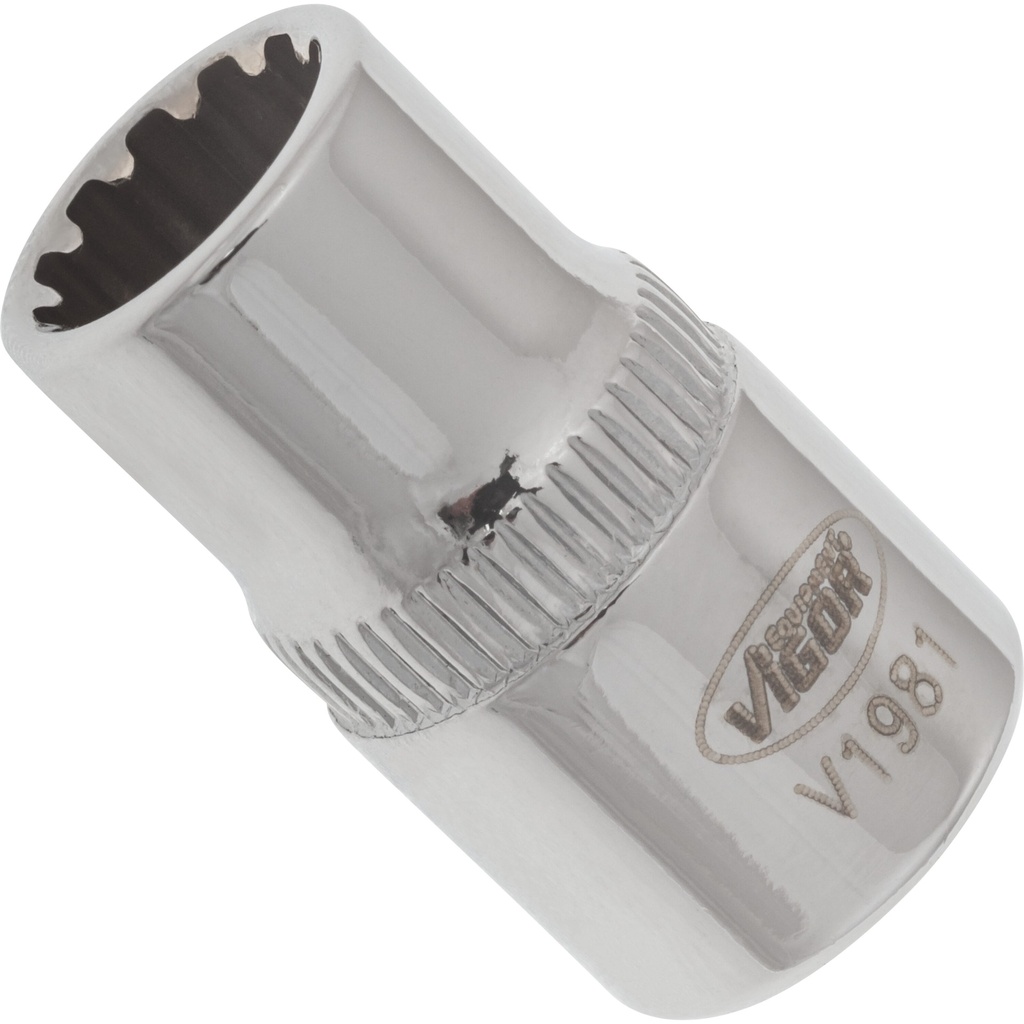 Multi-purpose profile socket 1/4 in. ∙ size 8 mm (V1981, VIGOR)