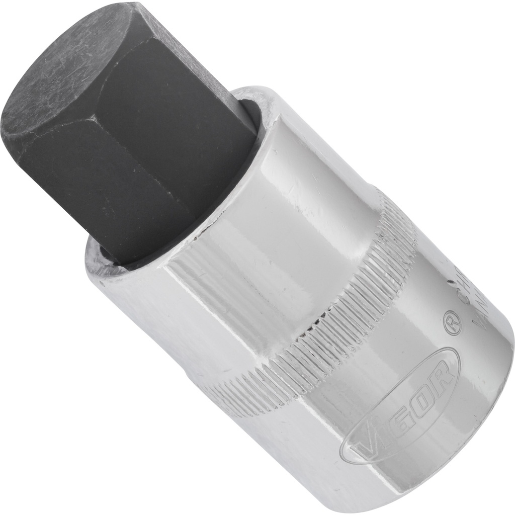 Atsuktuvo galvutė vidiniams šešiabriauniams varžtams 1/2 col. - 19 mm, ilgis 55 mm (V2070, VIGOR)