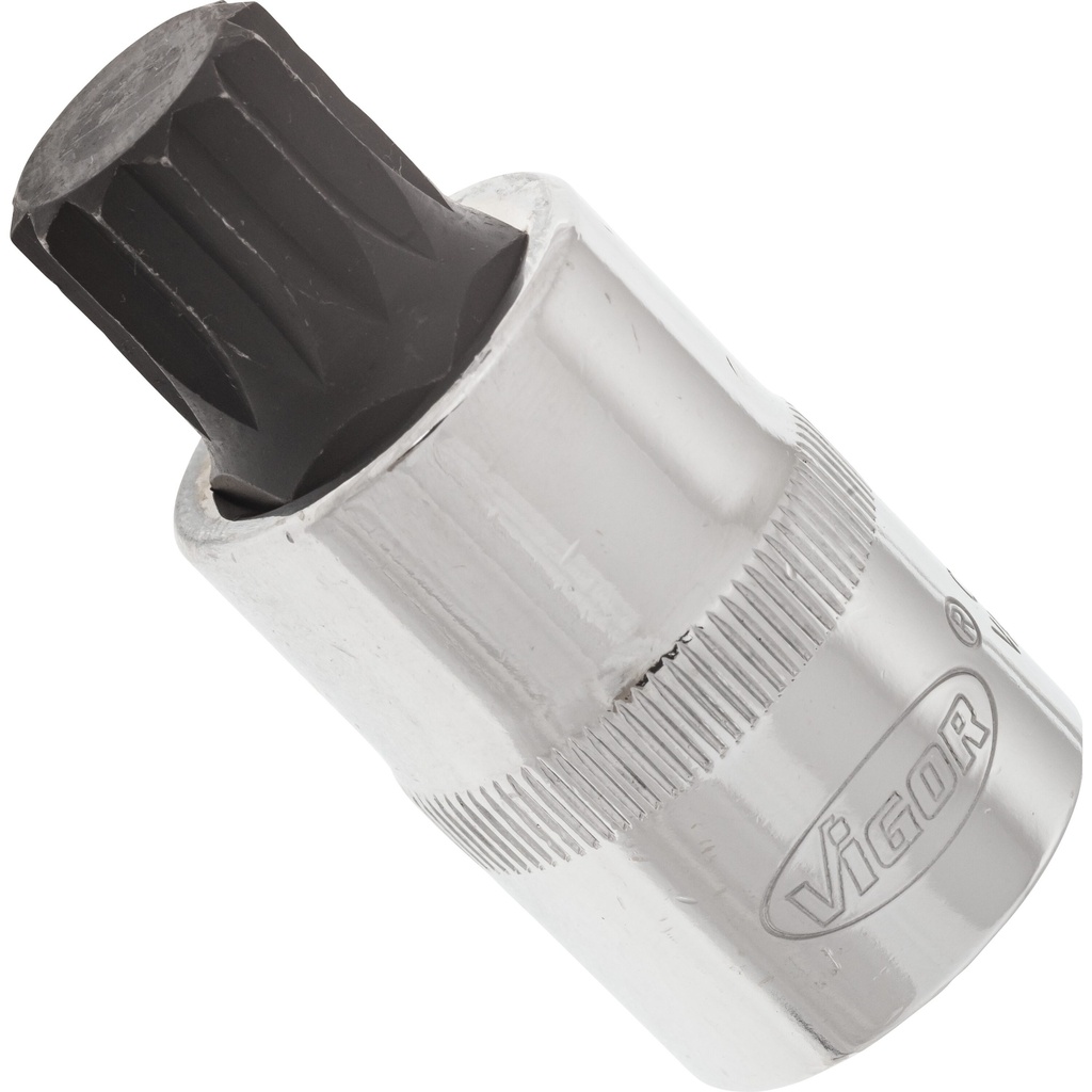 Atsuktuvo galvutė varžtams su vidiniu daugiadančiu profiliu (XZN), 1/2 col., M16, 55 mm (V2100, VIGOR)