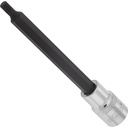 Screwdriver socket for screws with internal serration (XZN) ∙ size M6 (V2124, VIGOR)