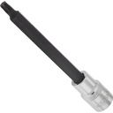 T screwdriver socket ∙ size T40 (V2173, VIGOR)