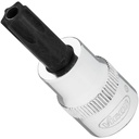 TORX screwdriver socket (V2195N, VIGOR)