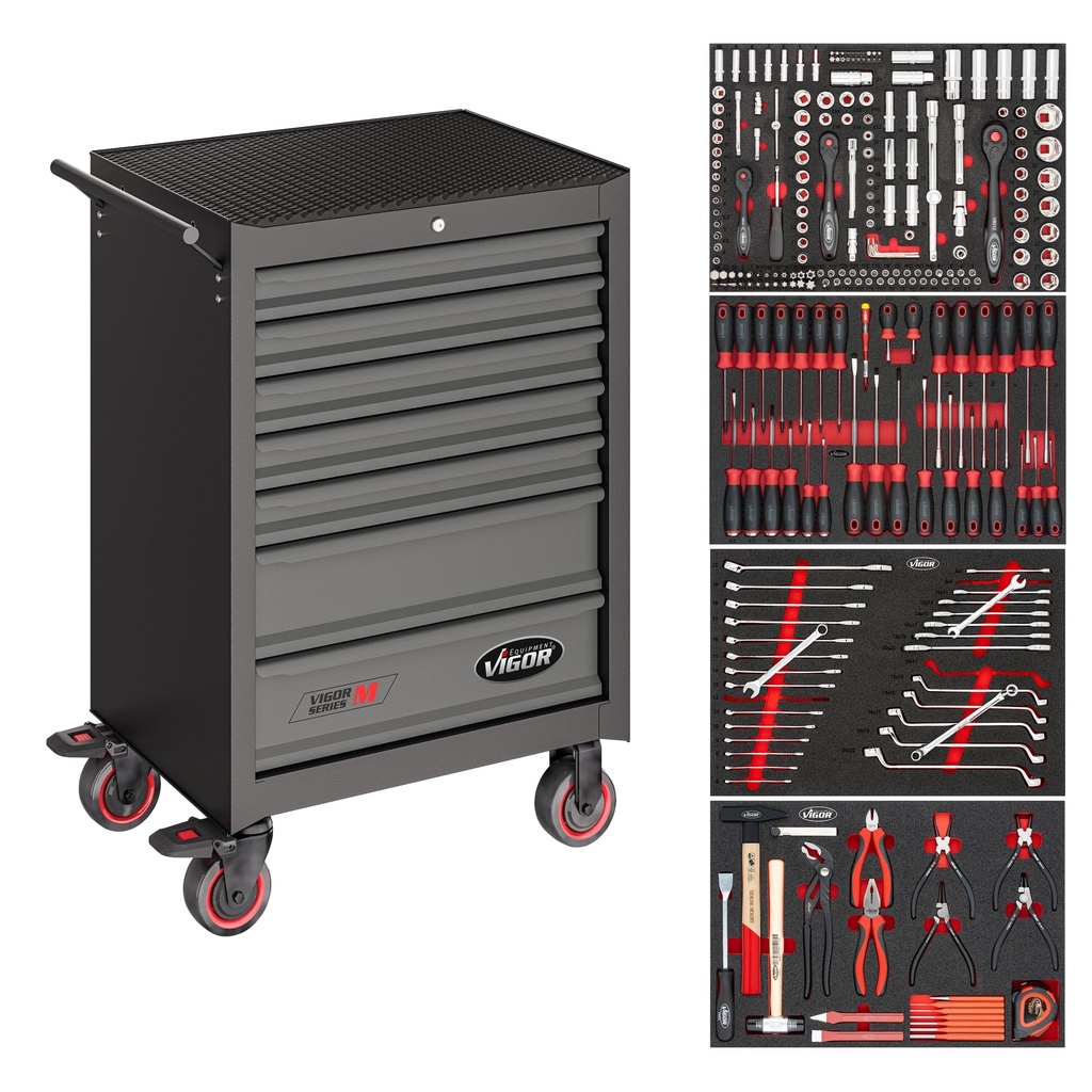 Tool trolley with 210-piece assortment, Series M (V2379N/210, VIGOR)