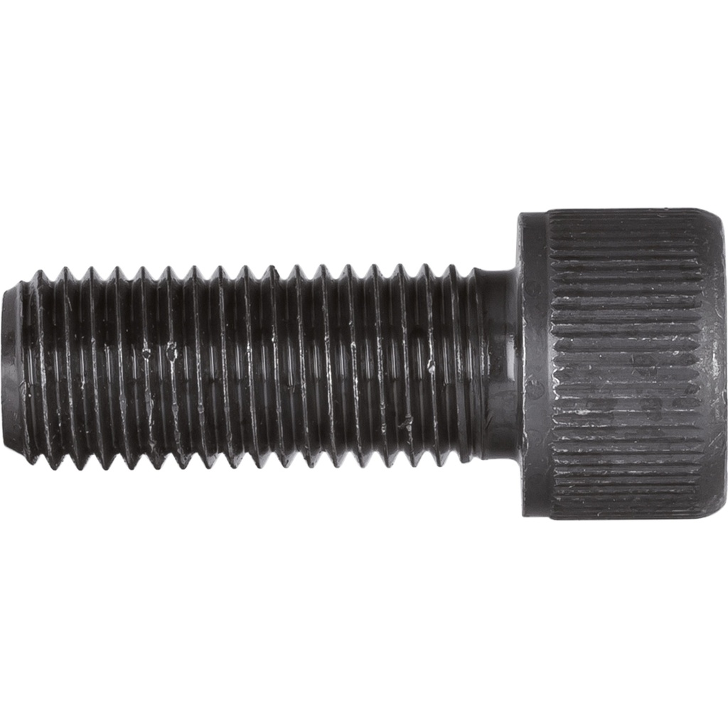Screw M16 x 40 mm (V3056, VIGOR)