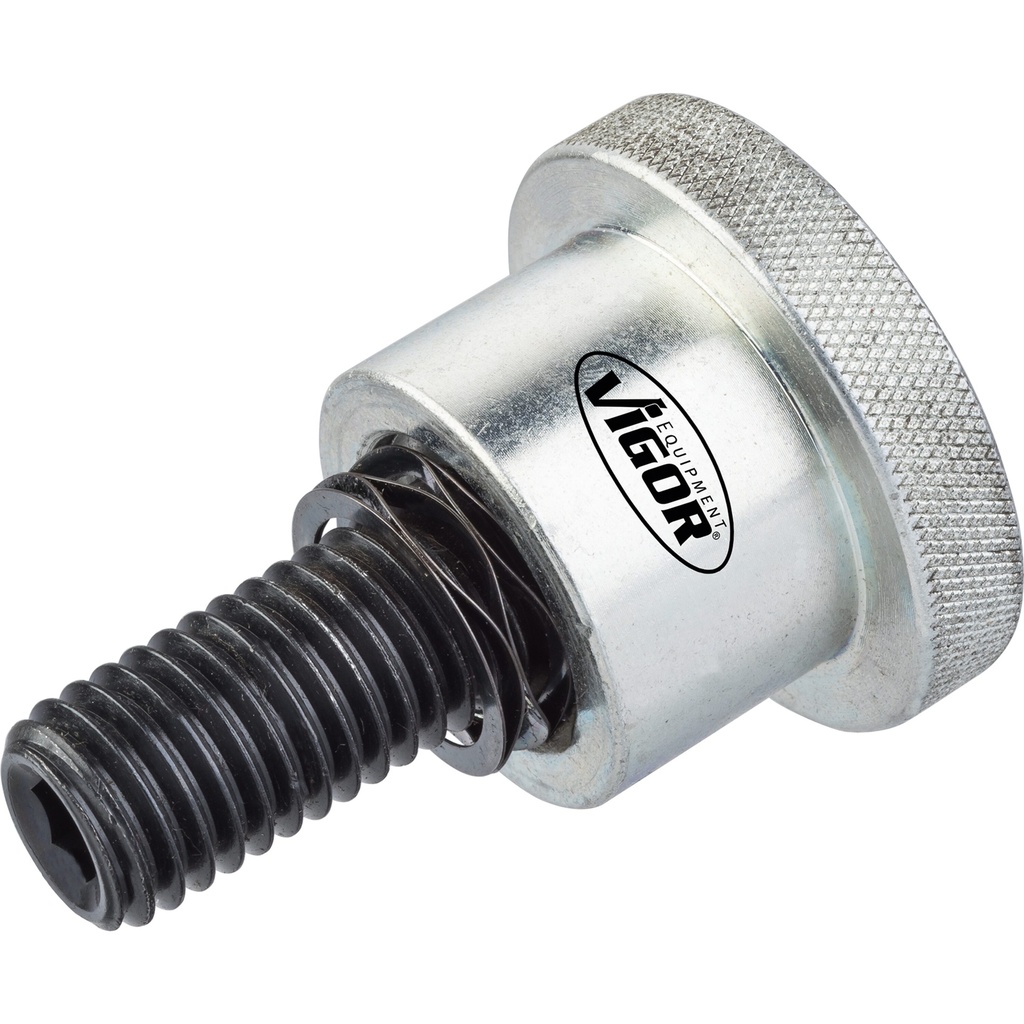 Fixing screw V3873, VIGOR
