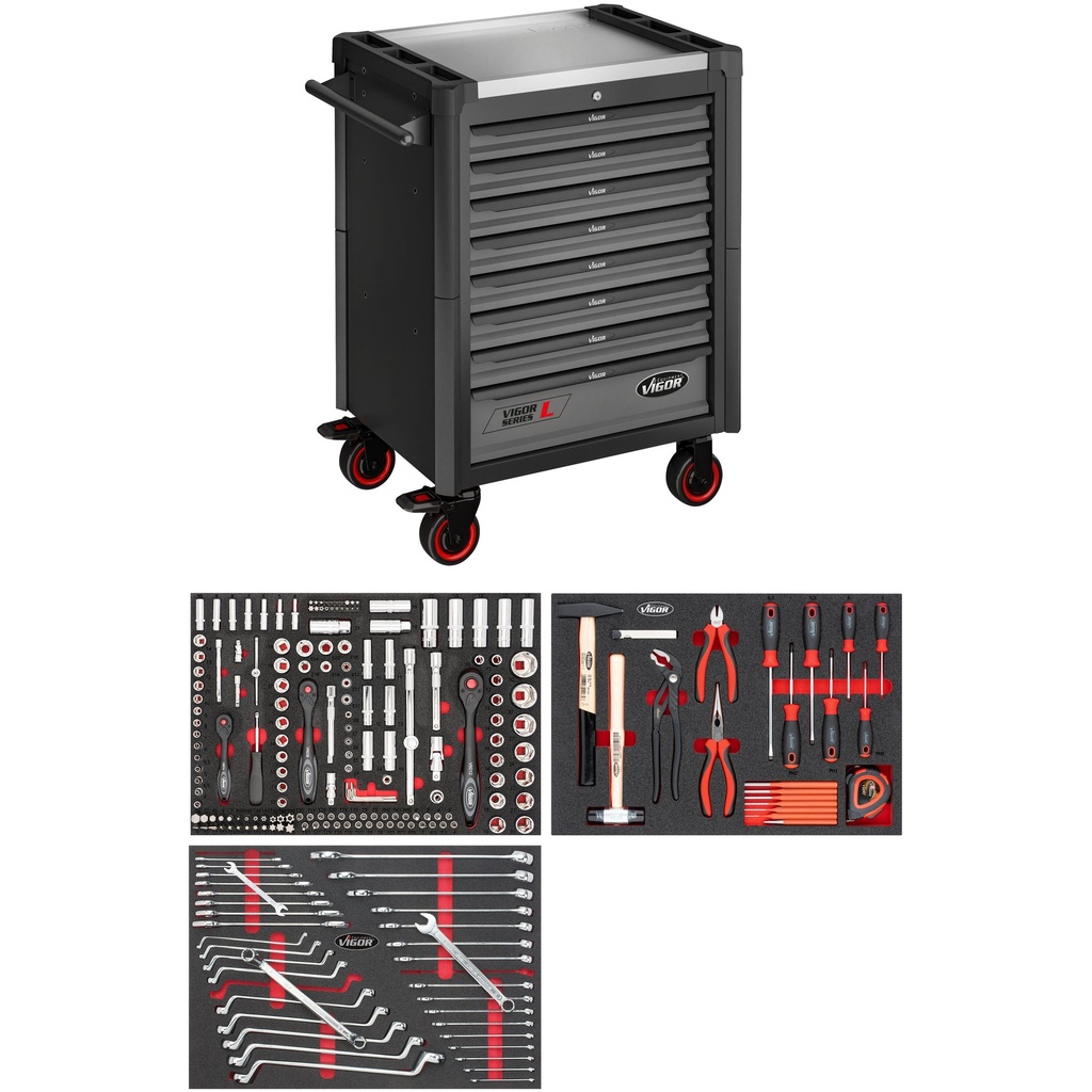 L serija V4219-X, VIGOR