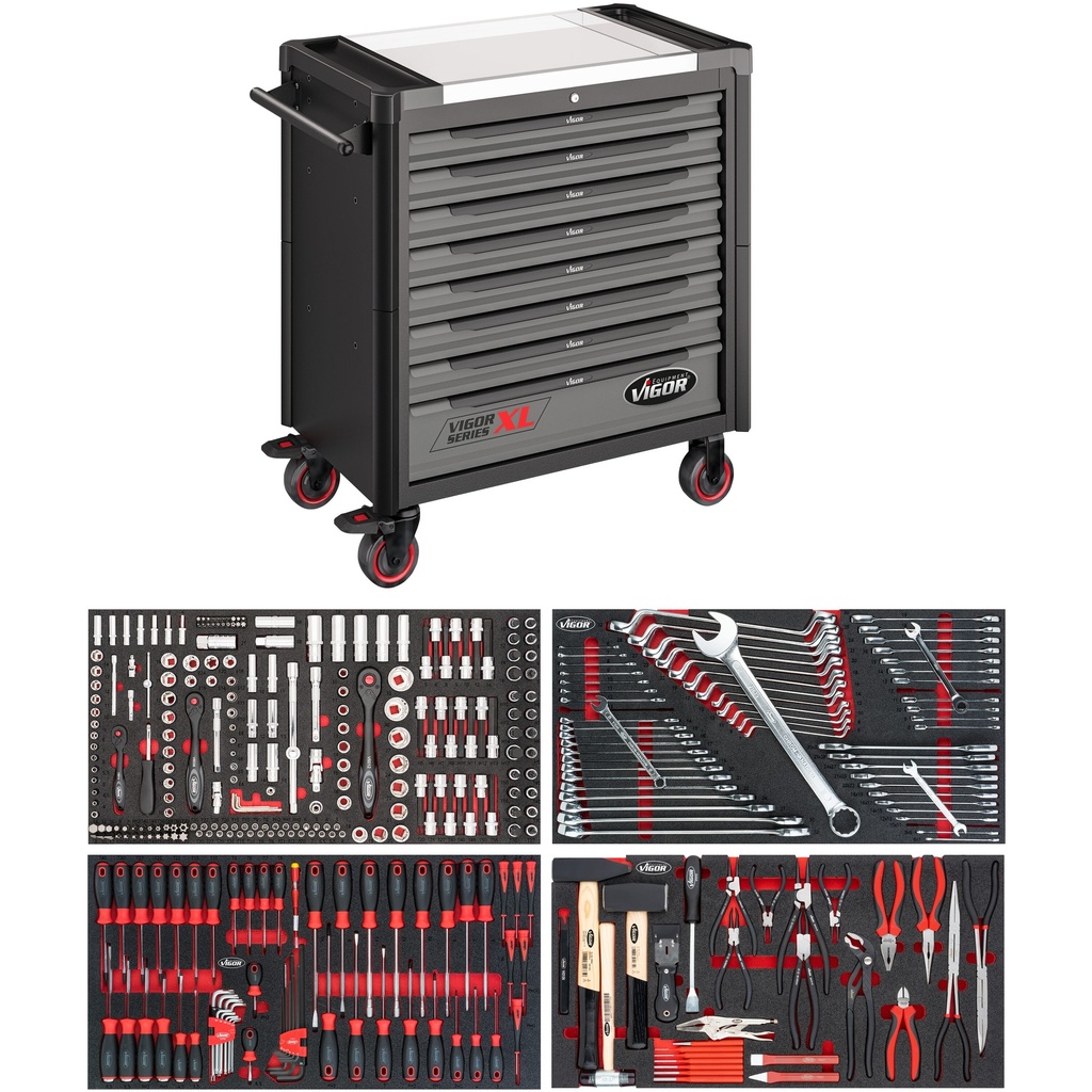 XL serija V4481-X/375, VIGOR