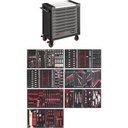 XL serija V4481-X/499, VIGOR