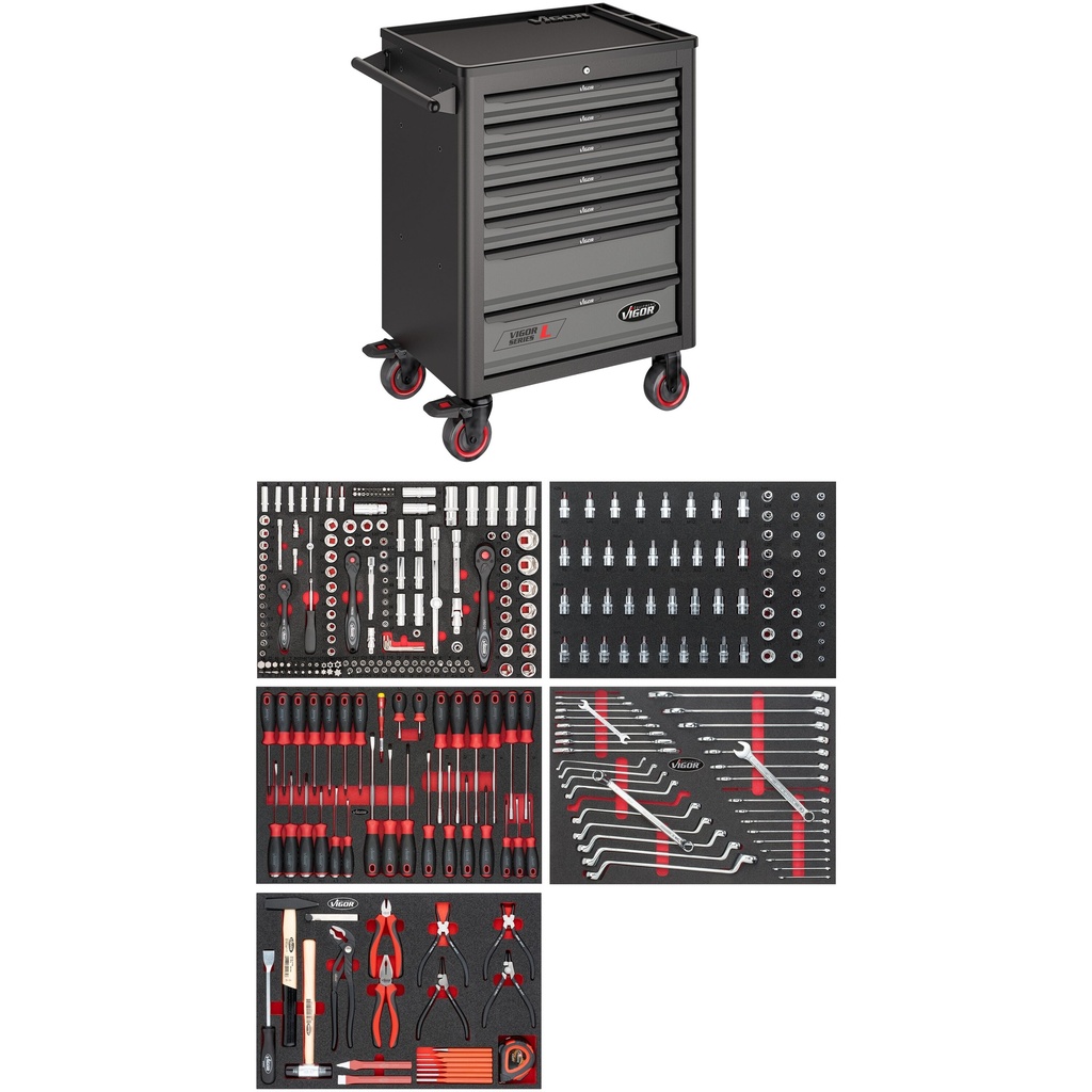 Series L V4560, VIGOR
