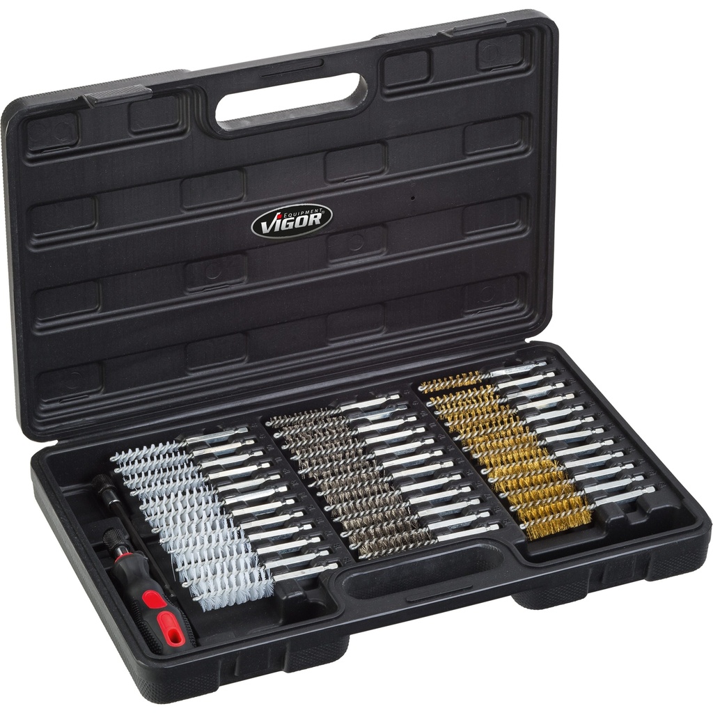 Brush set V4646, VIGOR