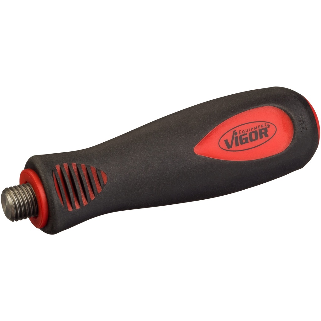 Rankena V4697-2, VIGOR