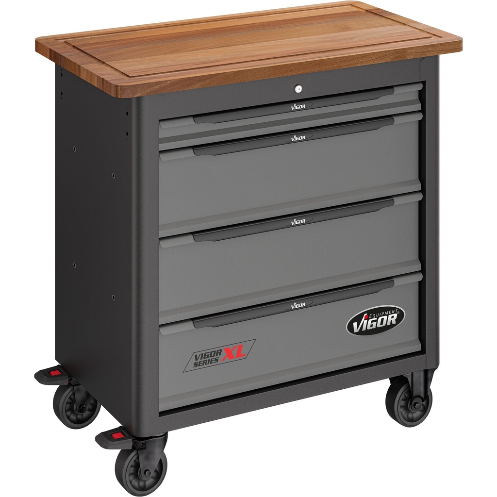 XL serija, Special V4814, VIGOR