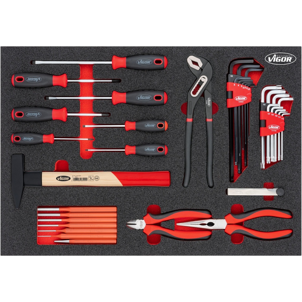 Screwdriver and Pliers Set in Foam Inlay (V5111N, VIGOR)