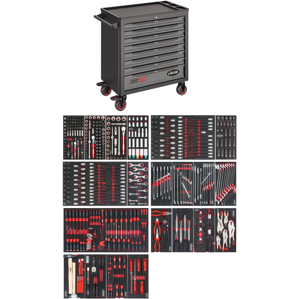 Series XL V5434, VIGOR