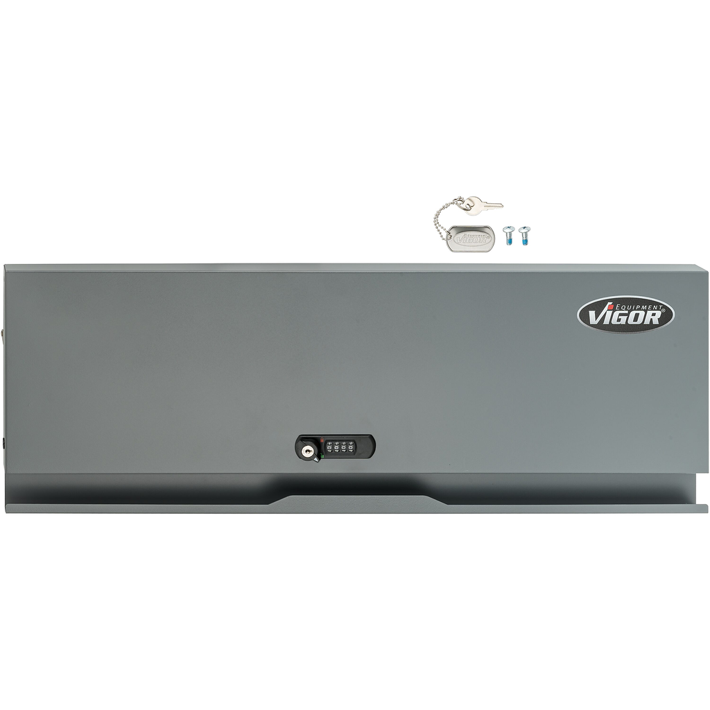 Replacement Door (V6000-011T, VIGOR)