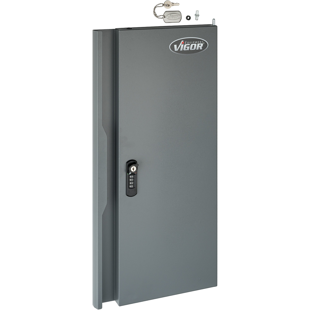 Replacement Door (V6000-046TS, VIGOR)