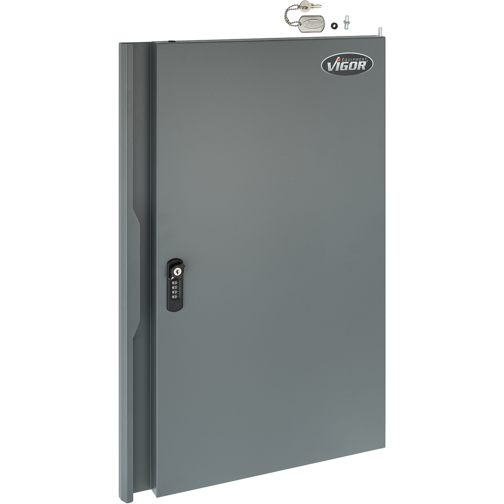 Atsarginės durys (V6000-058T, VIGOR)
