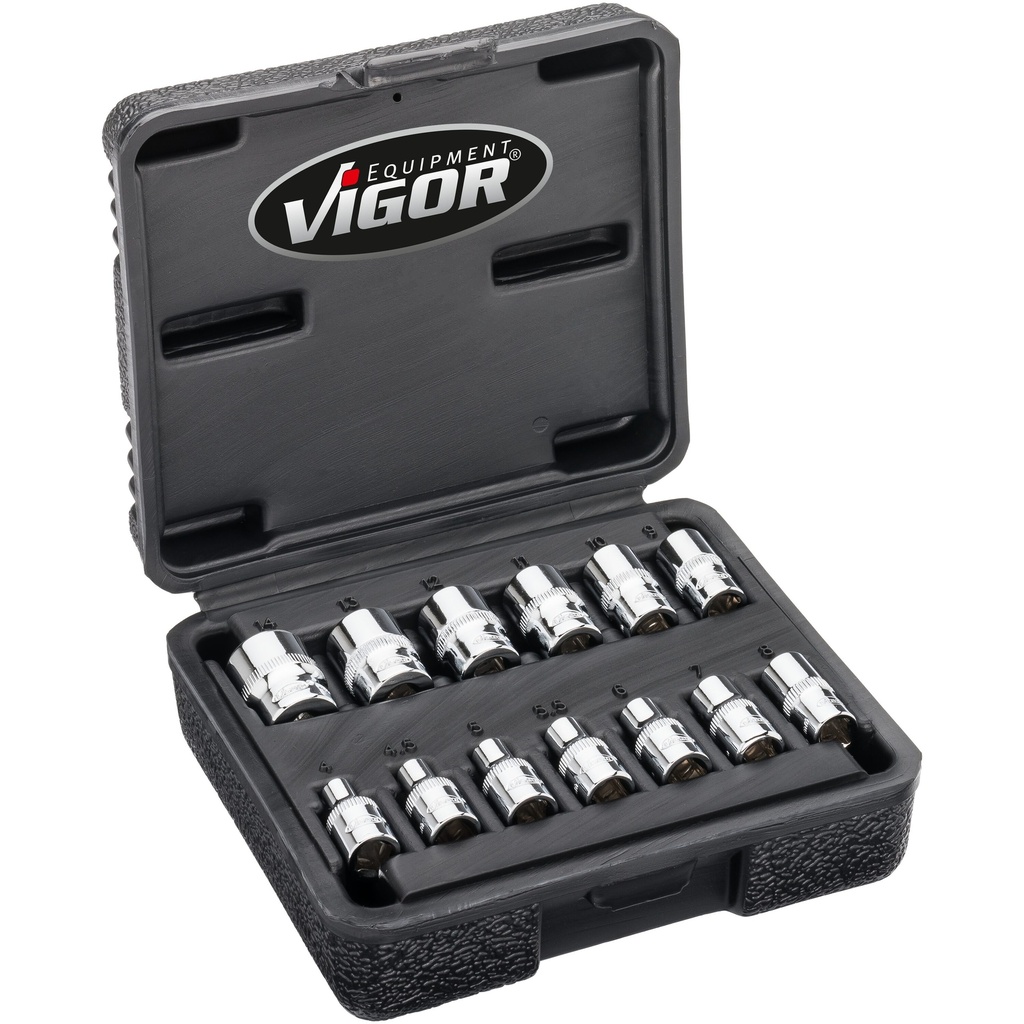 Socket set (V7514/13, VIGOR)
