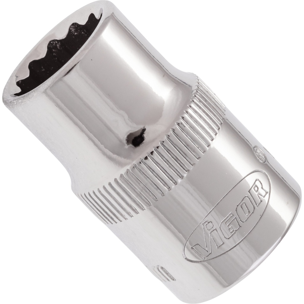 Galvutė V7538-10, VIGOR