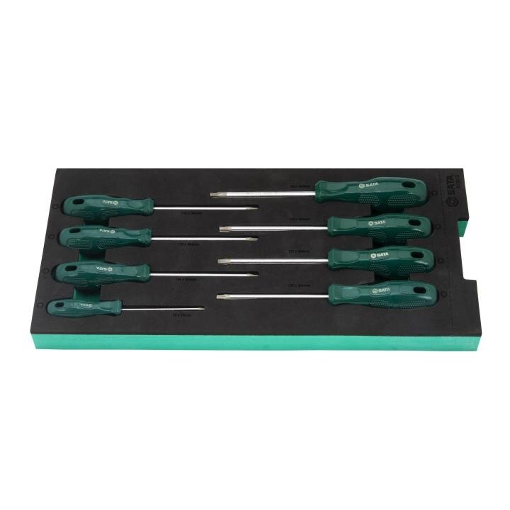 ⬡ Tray. Screwdriver set 8pcs (torx) (ST09917G, SATA)