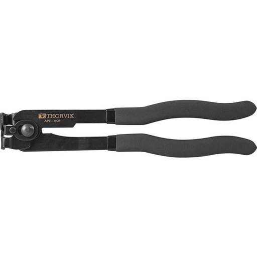 [ACP2] Replė sąvaržoms