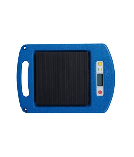 [AEK 302] Elektroninės svarstyklės iki 100kg (AEK 302, ECOTECHNICS)