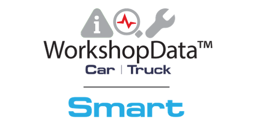 [Cart Tech+Electronics+Smart] [Cart Tech+Electronics+Smart] Technical database HaynesPro Car Tech+Electronics+Smart 1m.