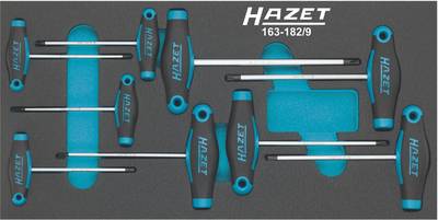 [163-182/9] HAZET Screwdriver set - with T-handle 163-182/9