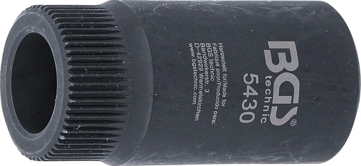 [BGS5430] Galvutė Mercedes CDI (5430)