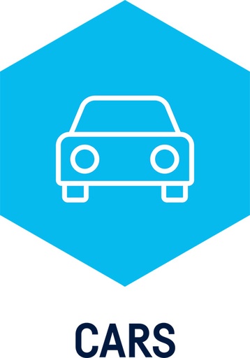[W015061902] (CARS) Standard, Licencija prietaisui ICON 1 metams, Autocom (W015061902, AUTOCOM)