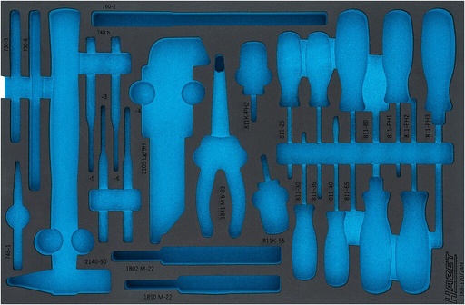 [163-120LN] Two-component foam tool insert (163-120LN, HAZET)