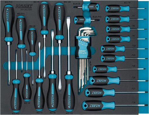 [163-141/31N] Screwdriver set, 31 pieces (163-141/31N, HAZET)