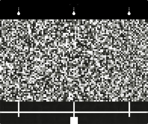 [3909441] SUZUKI IGNIS Priekinės kameros kalibravimo stendas [3909441]