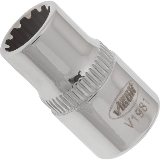 [V1981] Multi-purpose profile socket 1/4 in. ∙ size 8 mm (V1981, VIGOR)