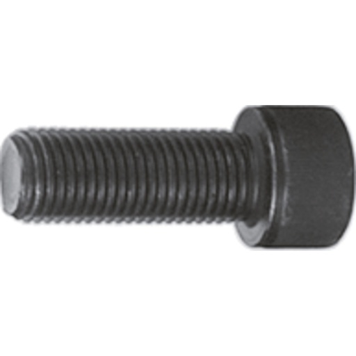 [V3263] Screw M22 x 60 mm (V3263, VIGOR)