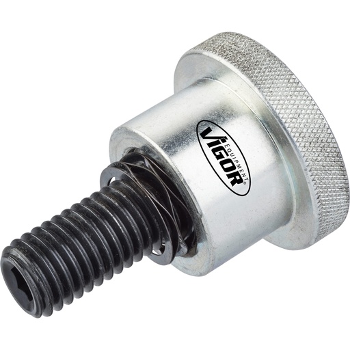 [V3873] Fixing screw (V3873, VIGOR)