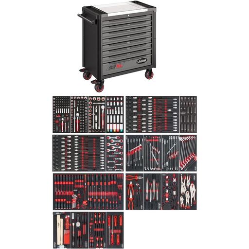 [V4481-X/499] XL serija V4481-X/499, VIGOR