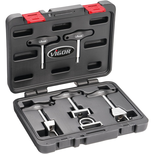 [V6741] Extractor set for ignition coils (V6741, VIGOR)