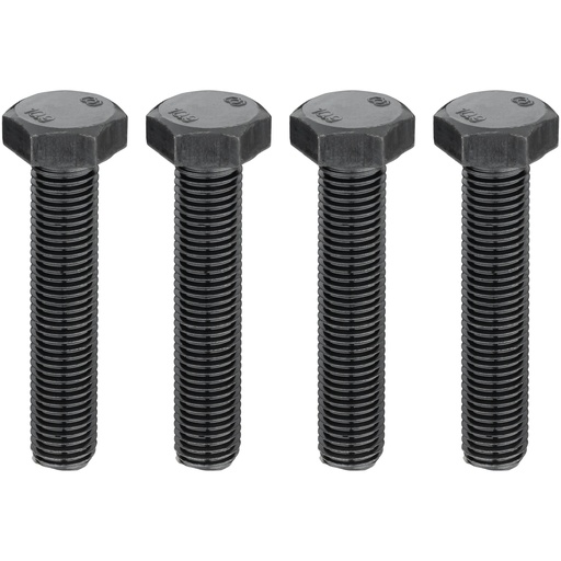 [V7071] Screw set for VAG (V7071, VIGOR)