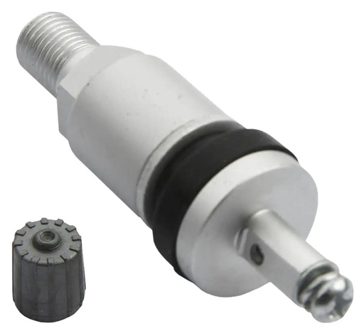 [03-00-98] Ventilis slėgio jutikliui Schrader SEL TPMS-08 (03-00-98, REDATS)