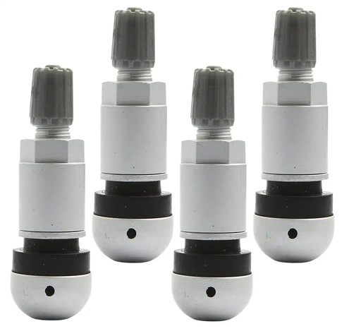 [03-02-14] ᴿᴰ Padangų ventilis TPMS slėgio jutikliams TPMS-01, 4 vnt. (03-02-14, REDATS)